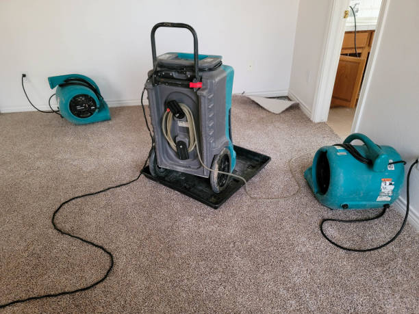Best Water damage restoration services  in Cooper, TX