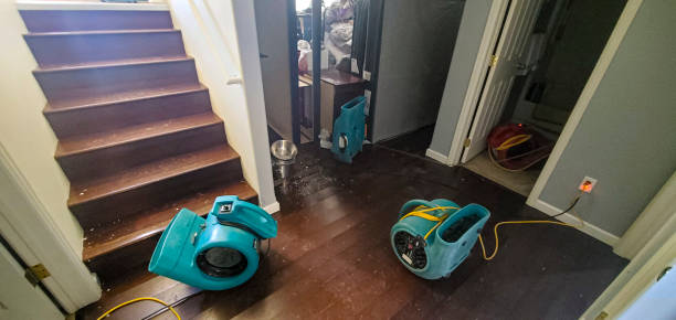 Best Water damage contractors near me  in Cooper, TX