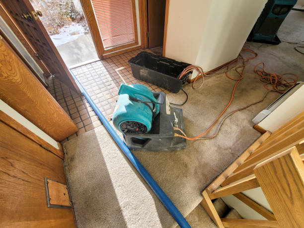 Best Commercial water damage restoration  in Cooper, TX