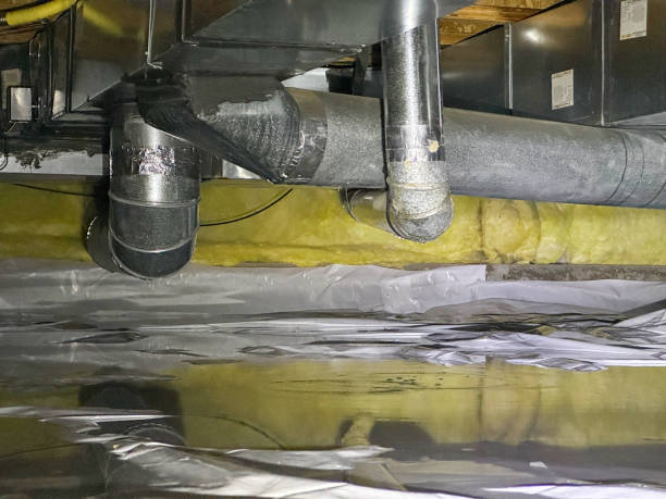 Best Water damage cleanup near me  in Cooper, TX
